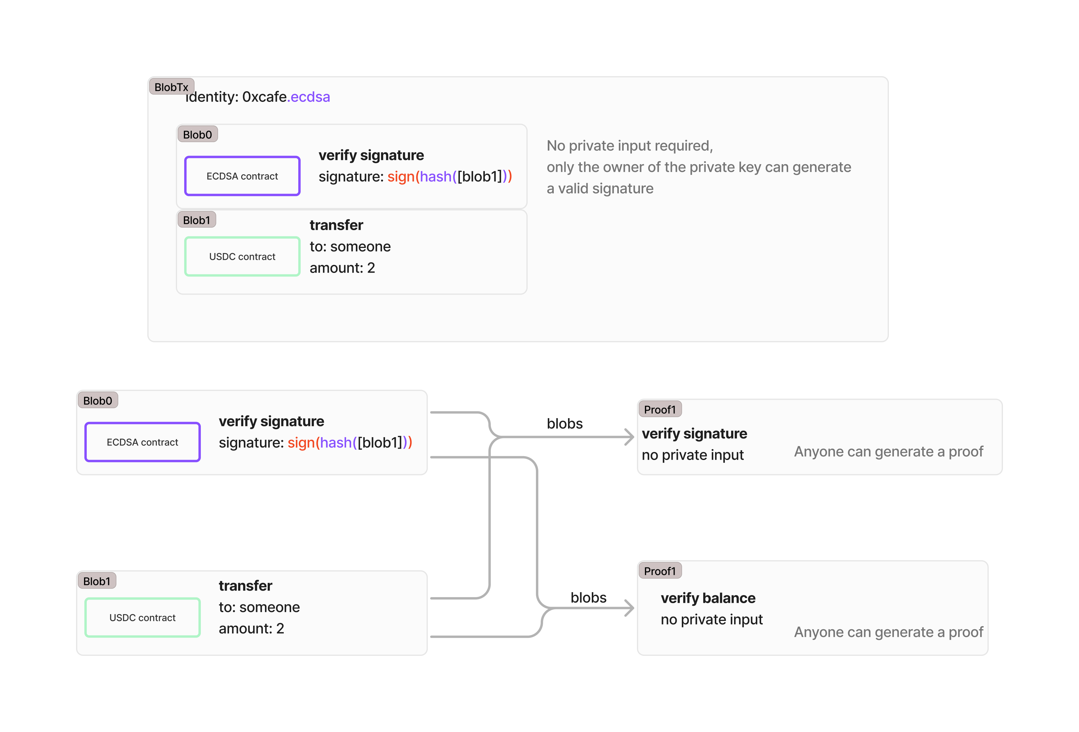 In this graph, the blob transaction has 0xcafe.ecdsa as an identity. The ECDSA contract in blob0 has the action verify signature. The signature is sign(hash([blob1]). There is no private input required, anyone can generate a proof but only the owner of the private key can generate a valid signature.)